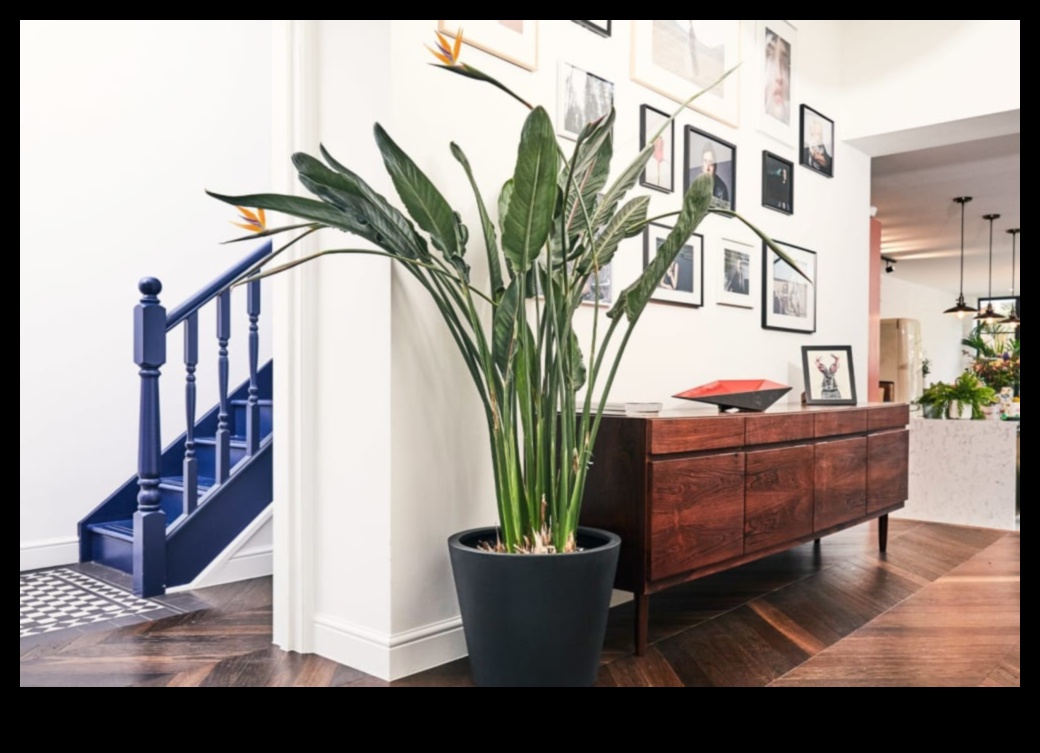 Podos paradīze: iekštelpu dārzkopība katrai dzīves telpai