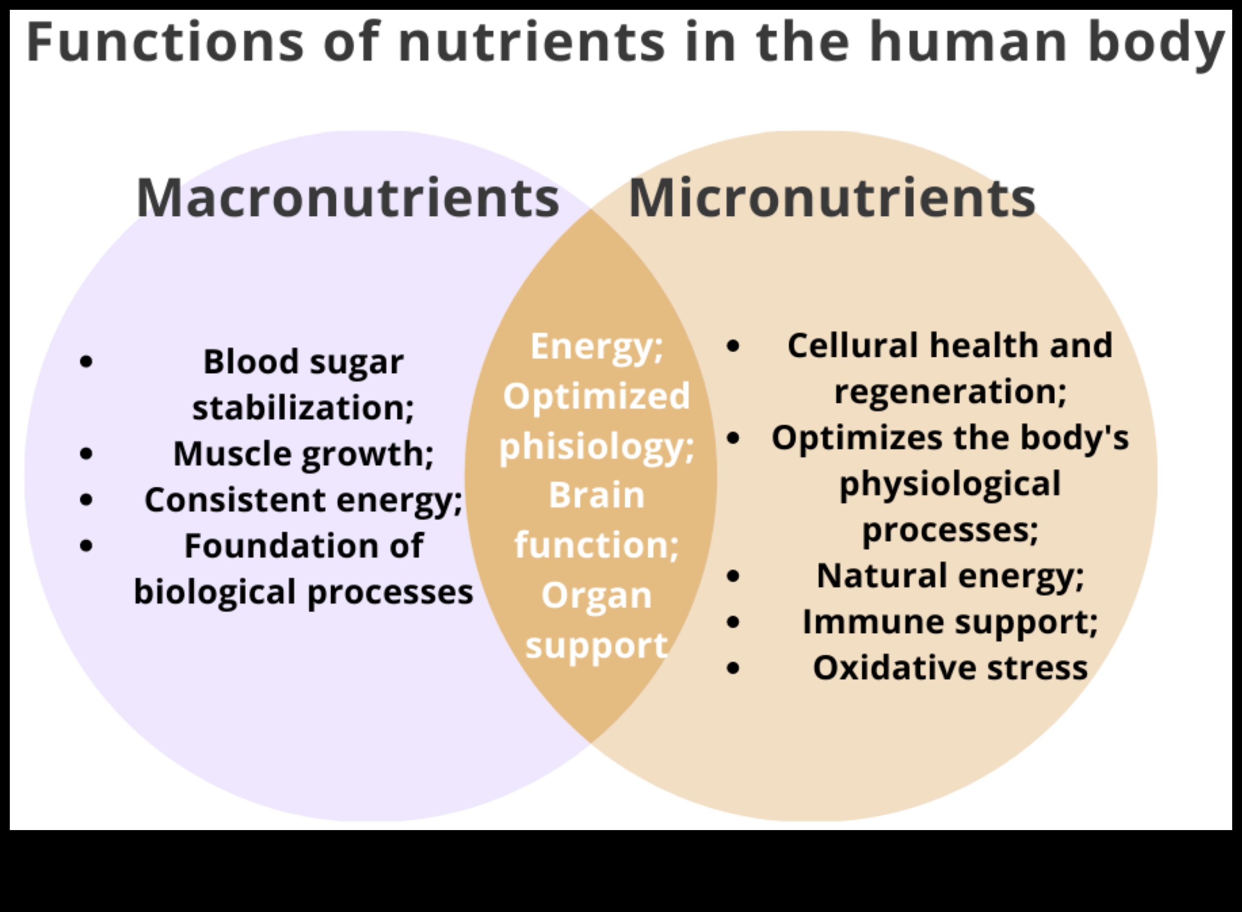 Uzturvielu spektrs: ieniršana svarīgākajos elementos