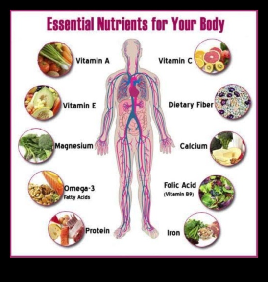 Uzturvielu spektrs: ieniršana svarīgākajos elementos