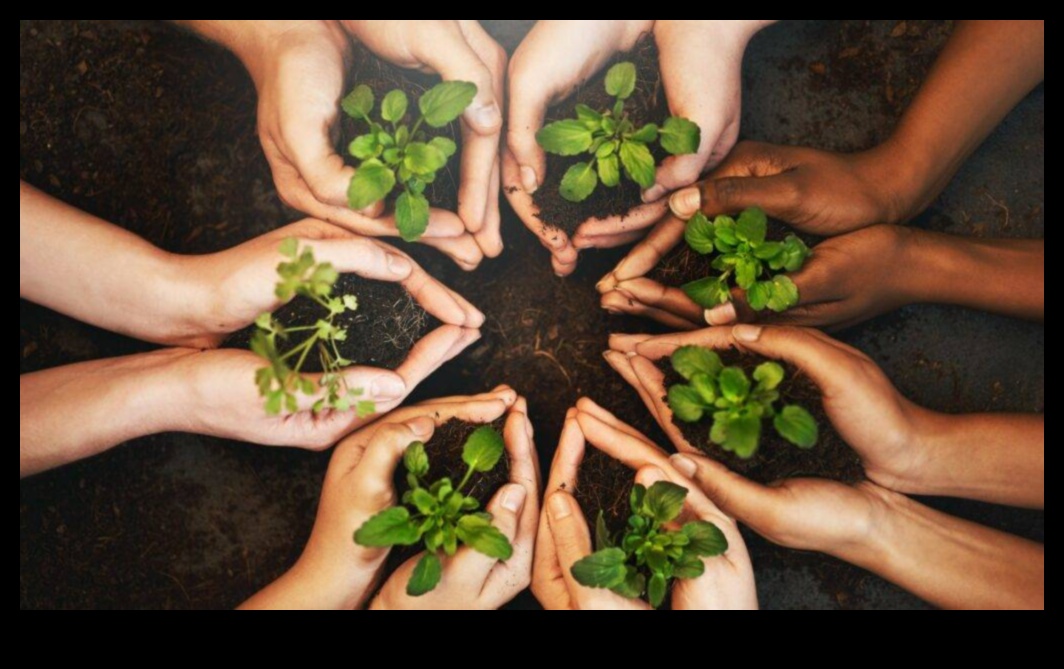 Iesējiet veiksmes sēklas: ekspertu padomi dārza plānošanai