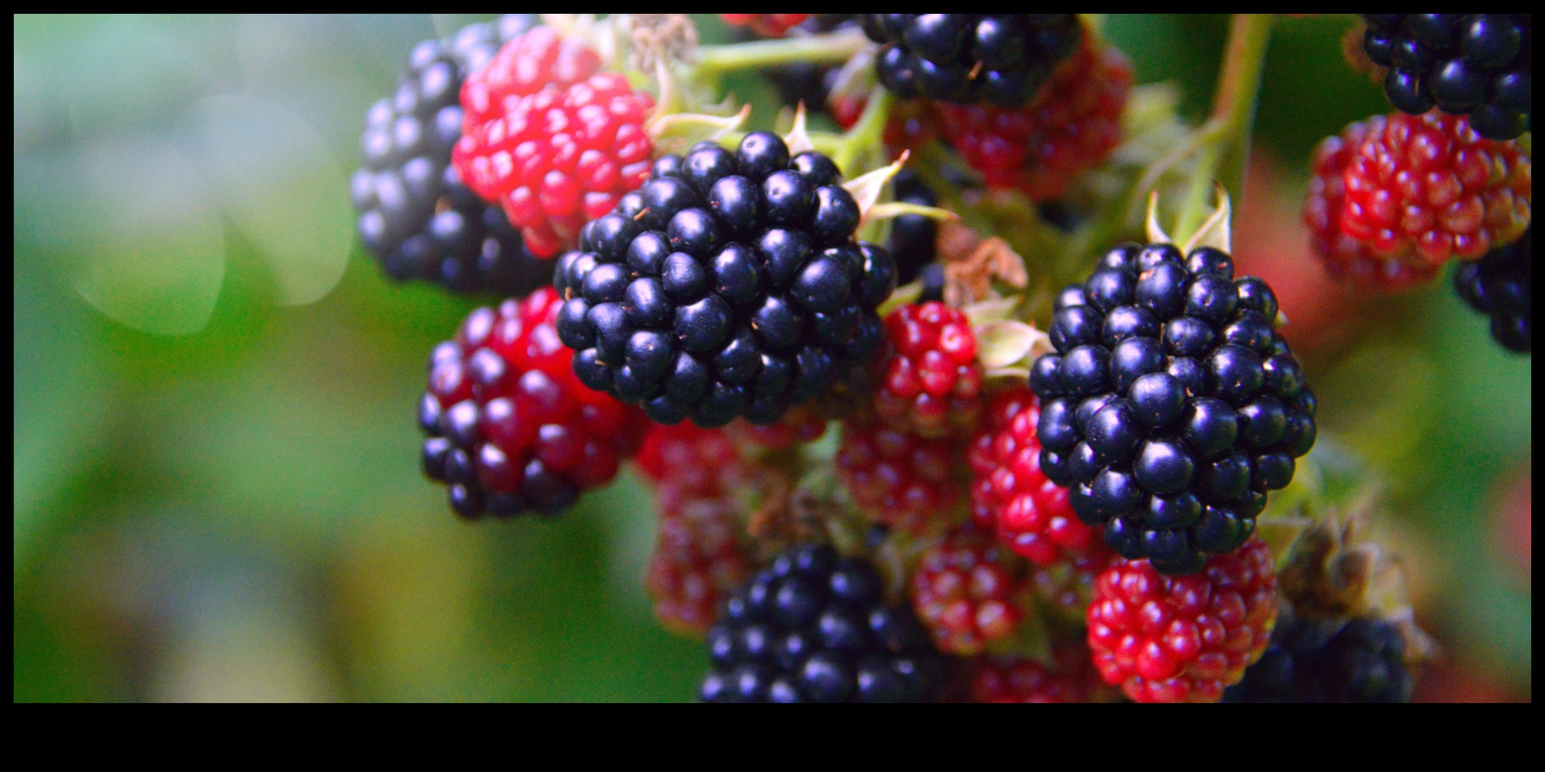 Berry Bliss: baudiet saldas un sulīgas svaigu augļu sulas