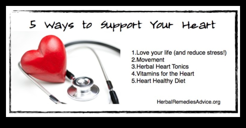 Sirds veselības maģistrāle: labsajūtas uzlabošana ar kardio treniņiem