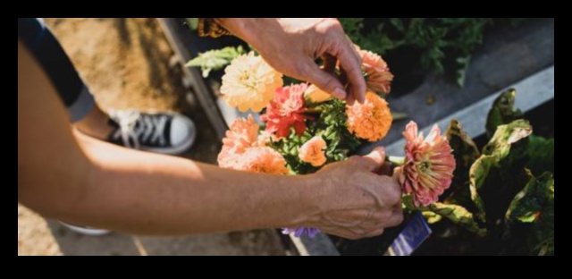 Izkopiet prieku: svarīgi padomi apburošai dārza patvērumam