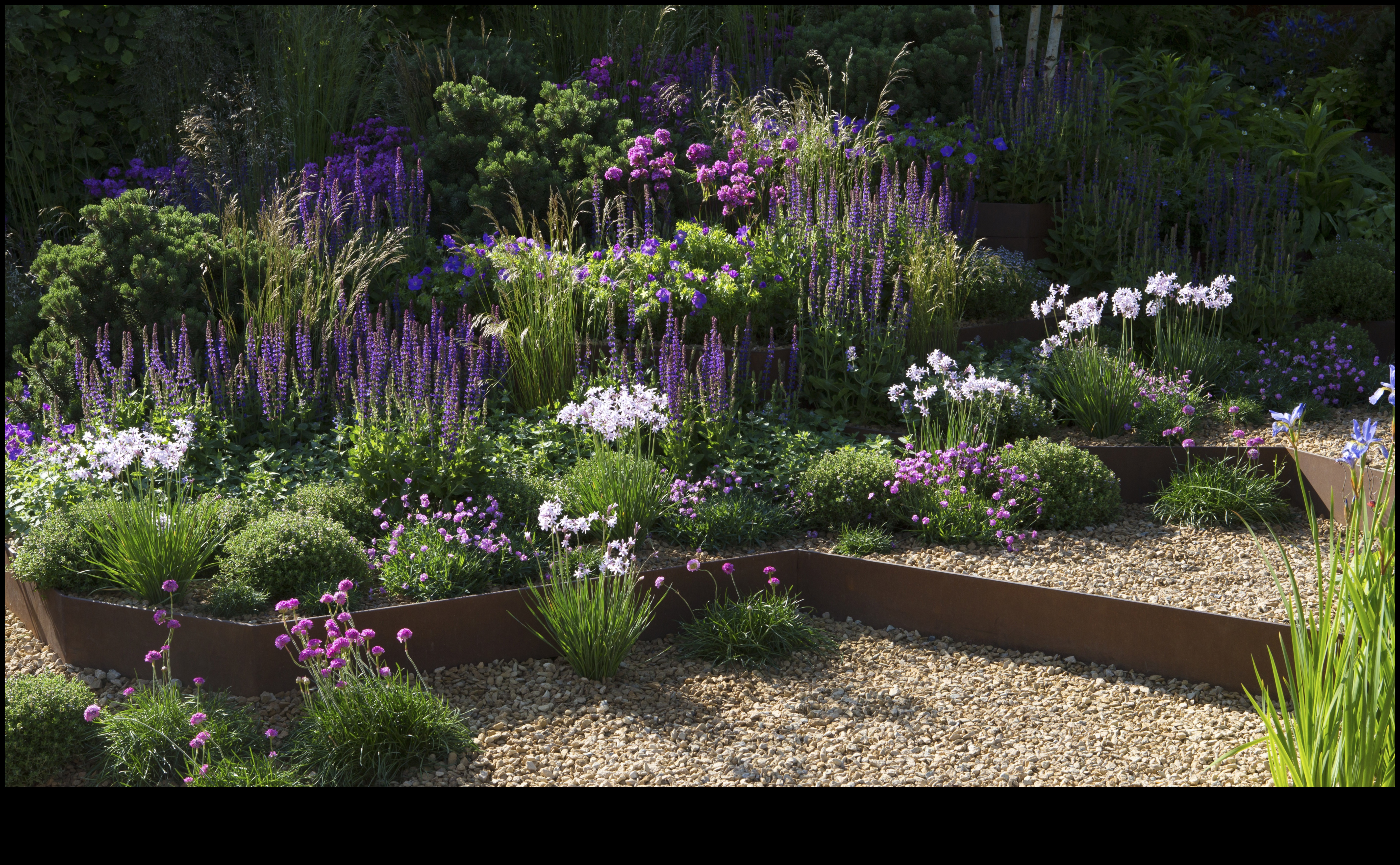 Videi draudzīgi dārzi: ilgtspējīgi dārgumi visiem