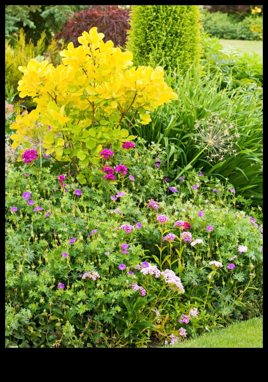 Artistry in Bloom: uzlabojiet savu dārzu ar unikāliem darbiem