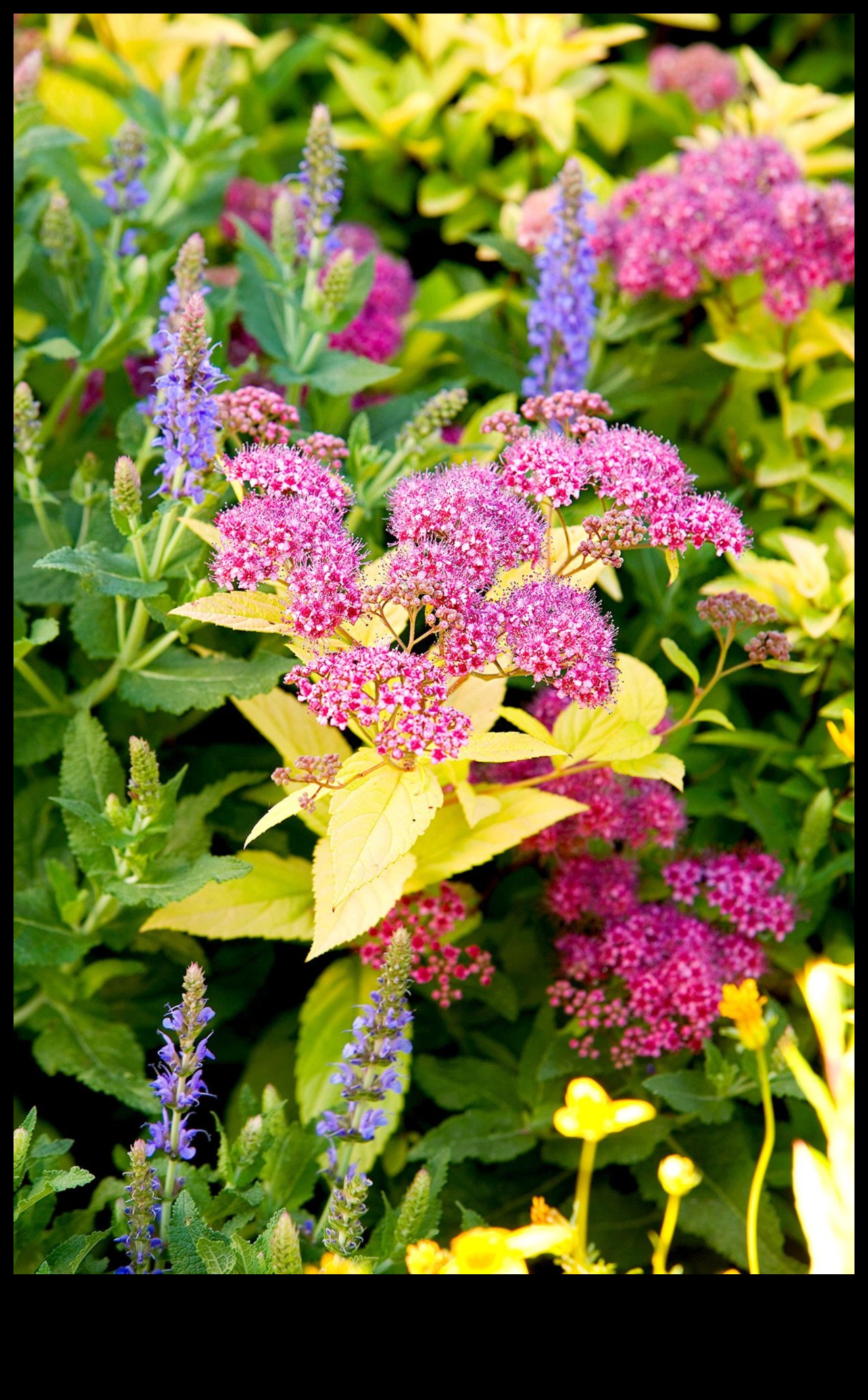 Artistry in Bloom: uzlabojiet savu dārzu ar unikāliem darbiem