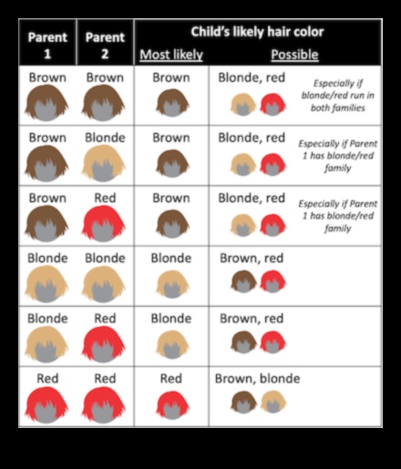 Blondīne pret bruneti: mītu par blondiem matiem atmaskošana