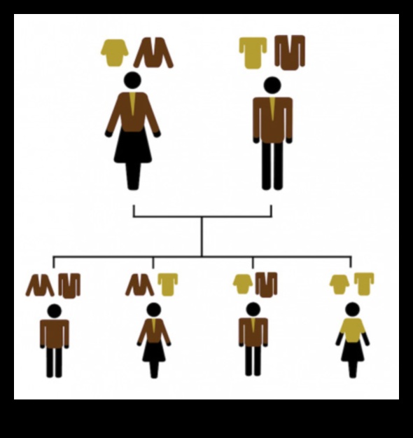 Blondīne pret bruneti: mītu par blondiem matiem atmaskošana