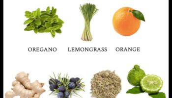 Detox Essentials: obligātās sastāvdaļas, lai iegūtu maksimālu uzturvērtību