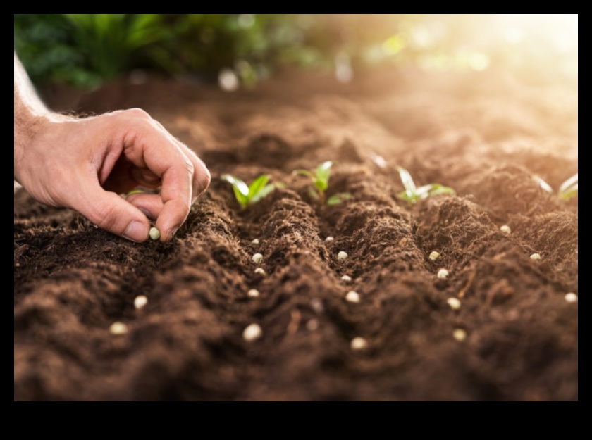 Iesējiet veiksmes sēklas: ekspertu padomi dārza plānošanai