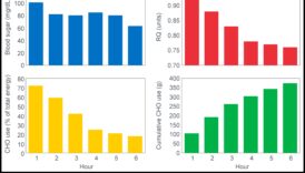 Makroelementi atklāti: atklājiet noslēpumus, lai sasniegtu maksimālu veiktspēju
