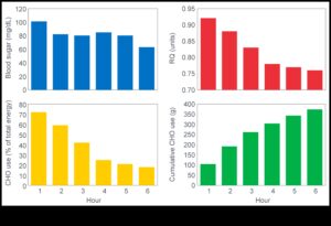 Makroelementi atklāti: atklājiet noslēpumus, lai sasniegtu maksimālu veiktspēju