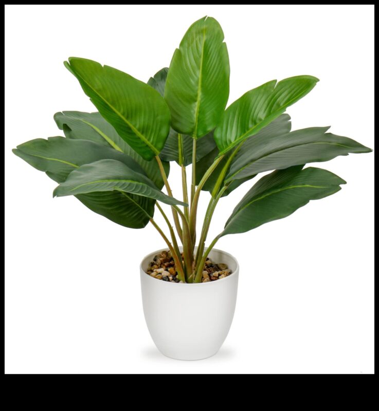 Podos paradīze: iekštelpu dārzkopība katrai dzīves telpai