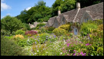 Savdabīgas rekolekcijas: paaugstiniet savu telpu ar kotedžu dārziem