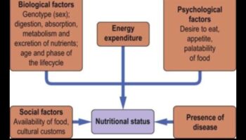 Uzturvielu vienādojums: līdzsvarot veselību ar uztura bioķīmiju