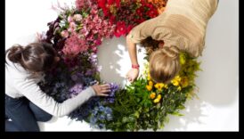 Ziedu smalkums: dārza dizaina skaistums katrā ziedlapā